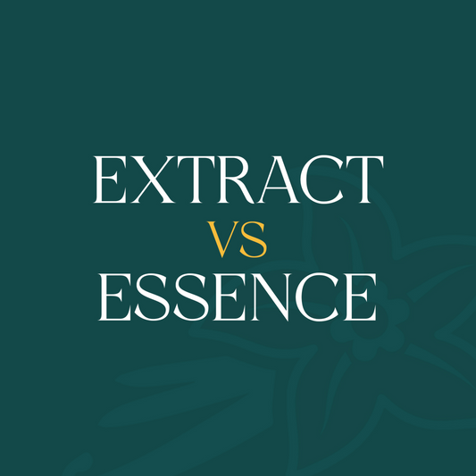 Why Your Baking Needs Pure Vanilla: Extract vs. Essence Explained